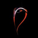 Phosform avatar